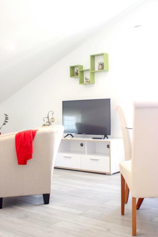 Studio Apartman Sky ロヴィニ エクステリア 写真